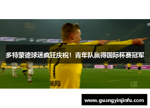 多特蒙德球迷疯狂庆祝！青年队赢得国际杯赛冠军